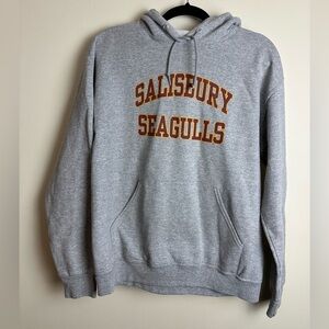Gray Salisbury Seagulls Hoodie